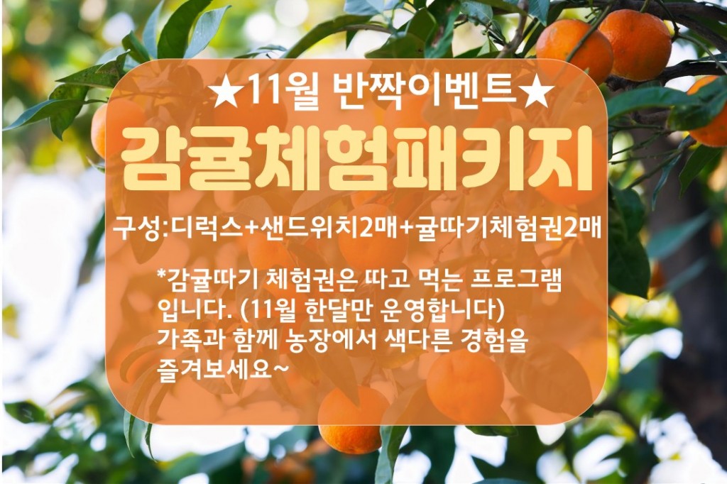  감귤체험PKG  호텔 디럭스