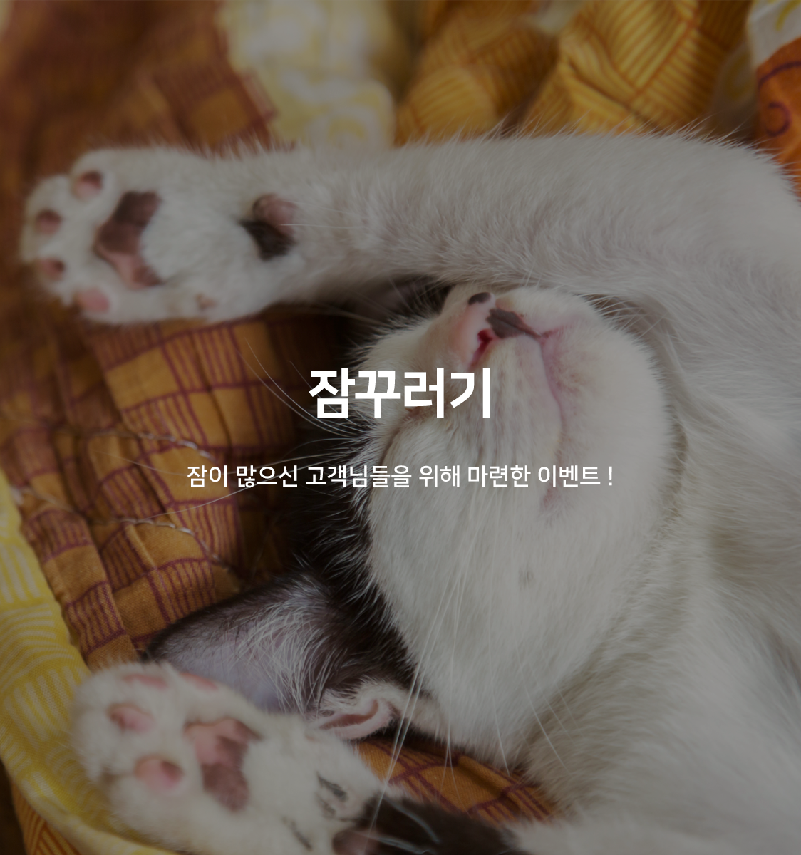 잠꾸러기(스탠다드 기준 / 늦은퇴실)