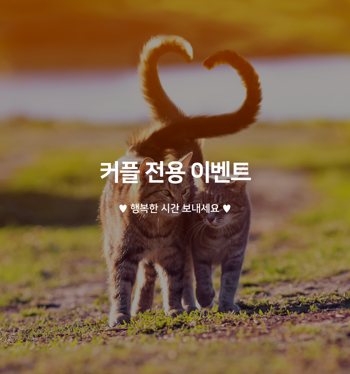 도트 커플패스(레이트 체크인, 연박불가)