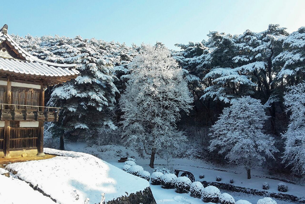 안동 이상루 고택 전망