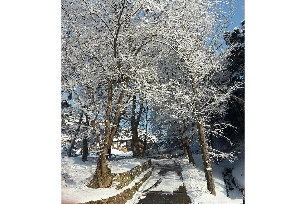 안동 이상루 고택 전망