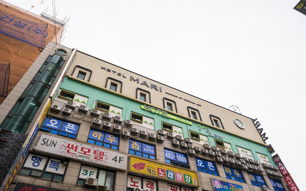 안산(중앙동) 마리 사진