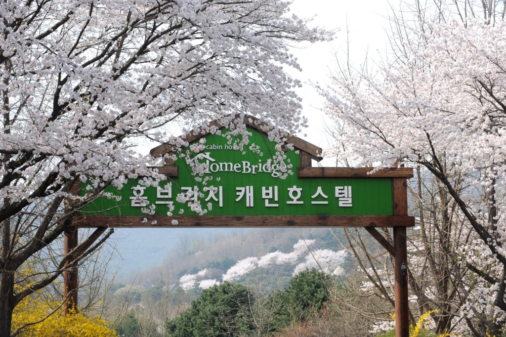 에버랜드 홈브리지 리조트