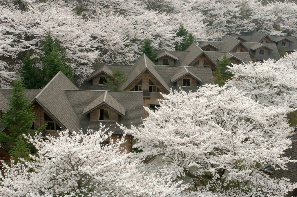 에버랜드 홈브리지 리조트