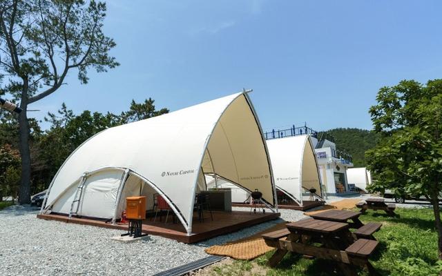 신안 천사섬캠핑&글램핑 사진, 가격, 위치소개 | 야놀자
