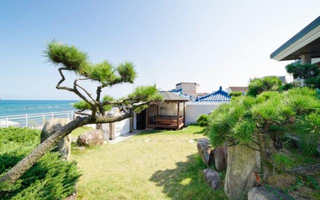 울산 힐링펜션