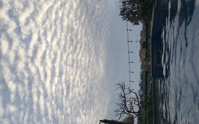썸네일_1