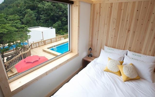 성주 더향풀빌라