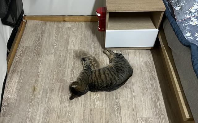 썸네일_1