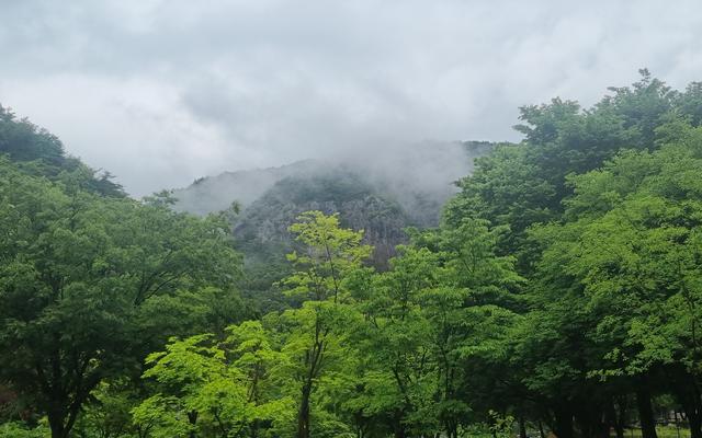 썸네일_1