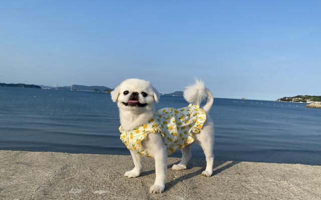 썸네일_3