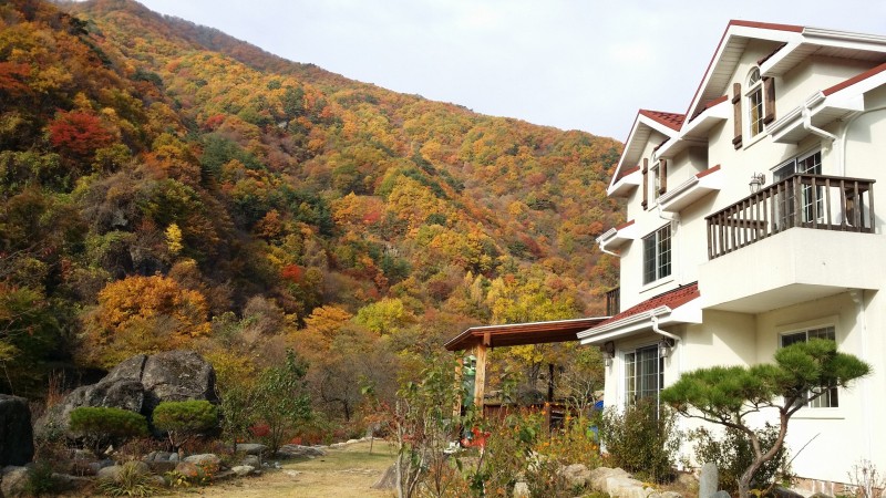하동 숲속정원펜션 전망