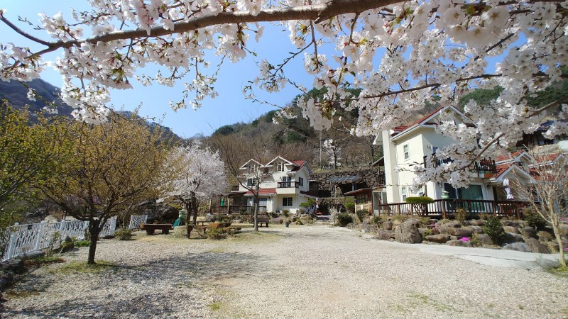 하동 숲속정원펜션 사진