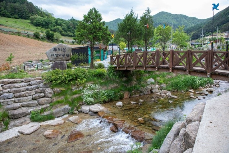 정선 도도펜션 사진