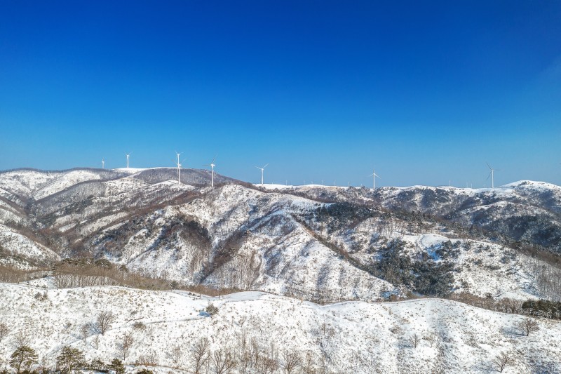 평창 풍차랑허브랑펜션 전망