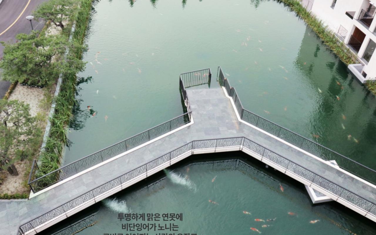 파인포레스트 정선 알파인리조트 사진