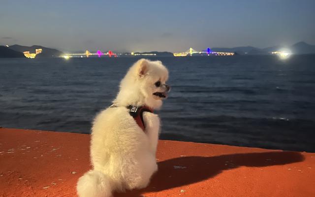 썸네일_1