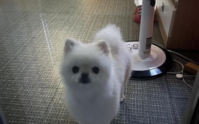 썸네일_3