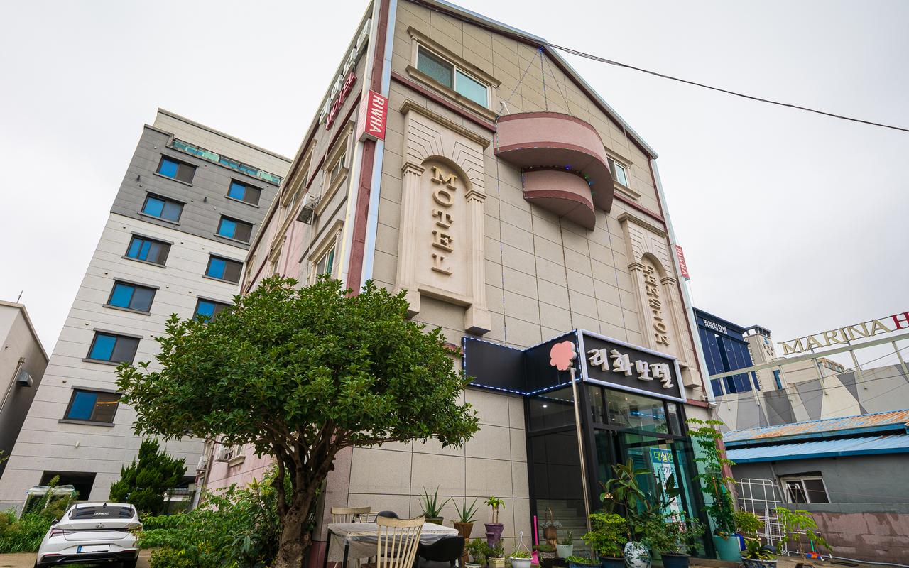 丽水梨花 사진 2