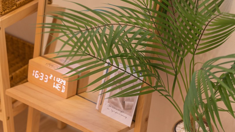 room detail thumbnail 1