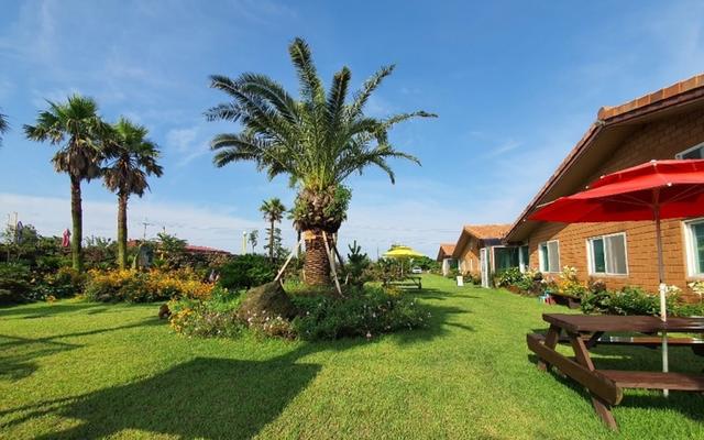 제주 힐링리조트