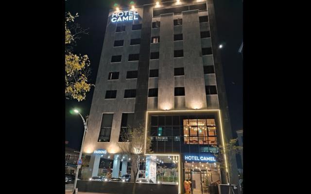 속초 관광 호텔 카멜