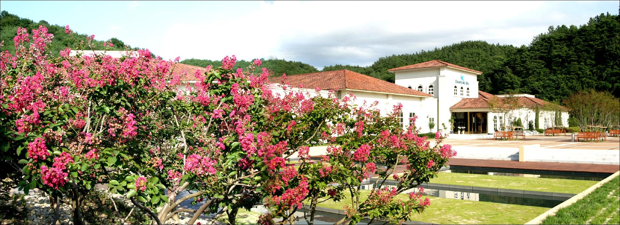 https://yaimg.yanolja.com/v5/2022/12/19/16/63a08e2245c424.84733310.jpg