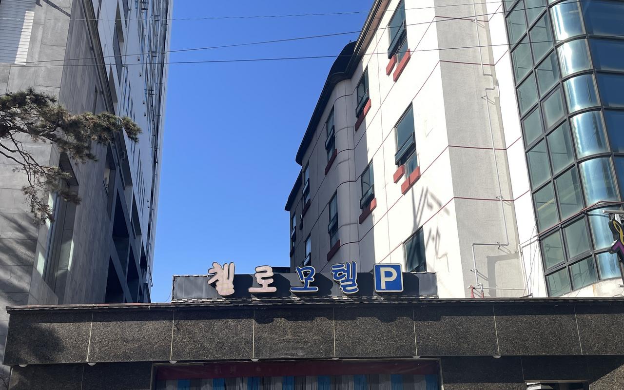 이천 첼로 사진