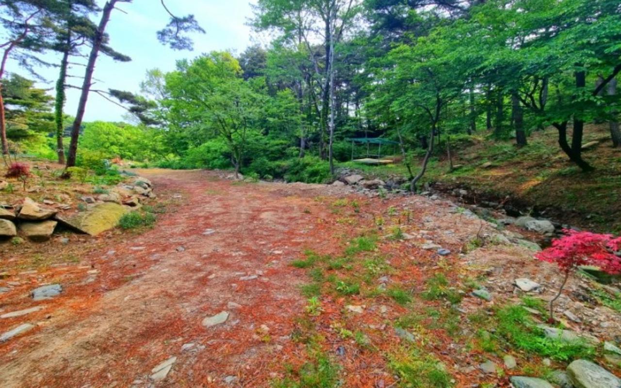 홍성 오서산늘봄가족독채펜션 사진