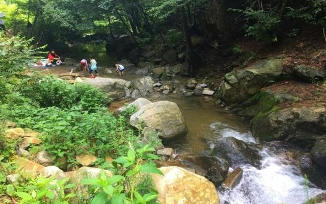 홍성 오서산늘봄가족독채펜션 사진