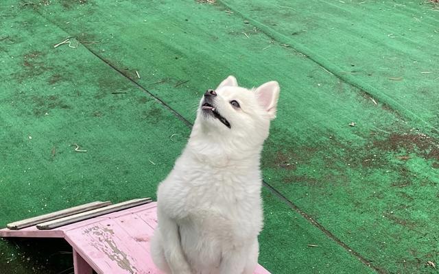 썸네일_1