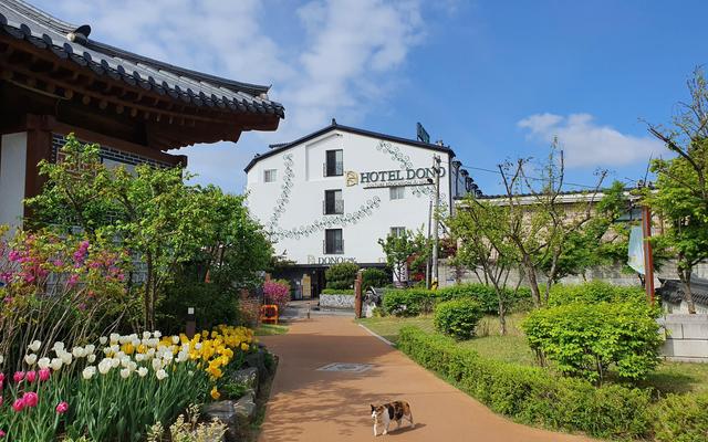 수원 도노1796 호텔