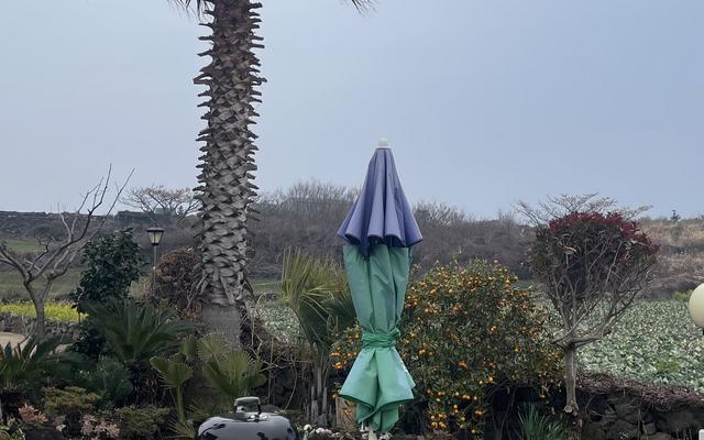 썸네일_3