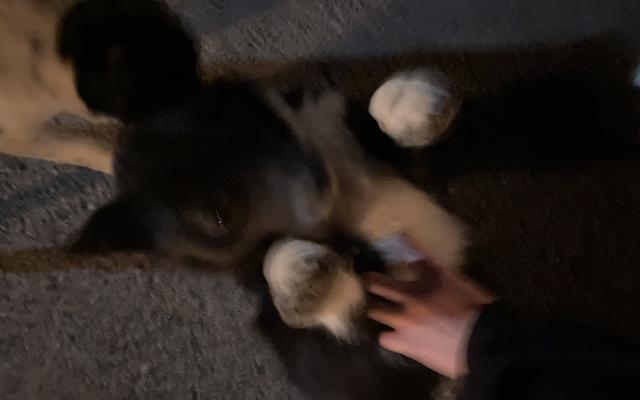 썸네일_1