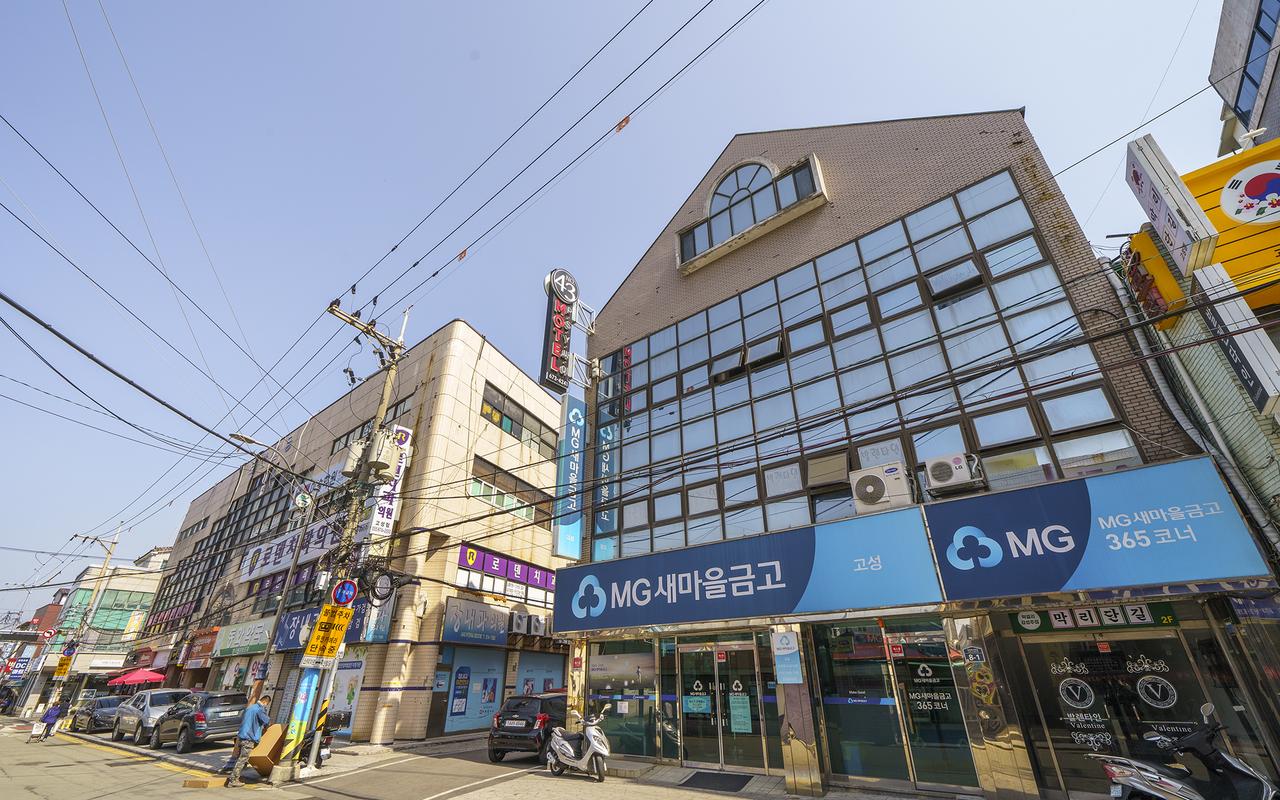 고성 43싸이 사진