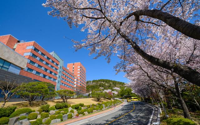 거제 삼성호텔 사진