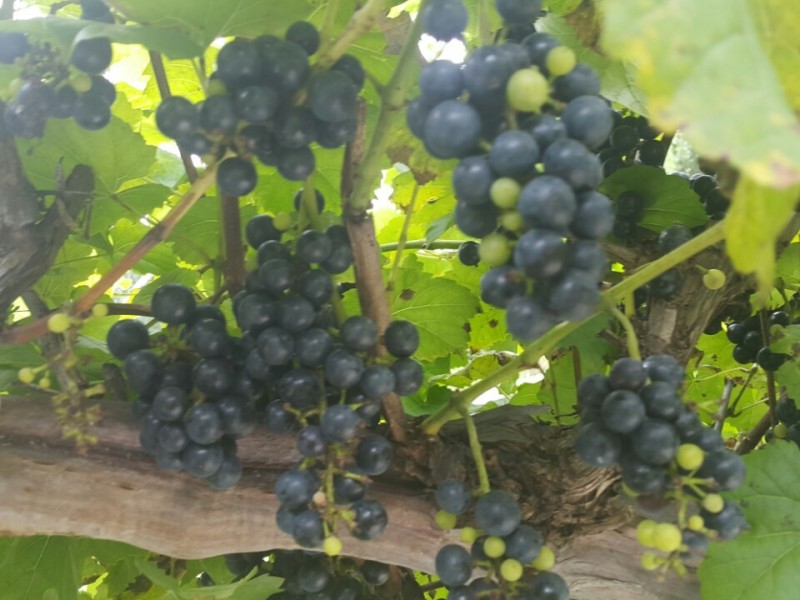 https://yaimg.yanolja.com/v5/2023/03/21/19/641a0a269ab7f3.65947689.jpg