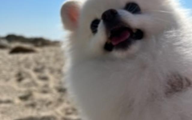 썸네일_4