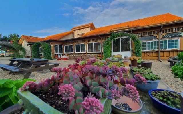 옹진(백령도) 노블