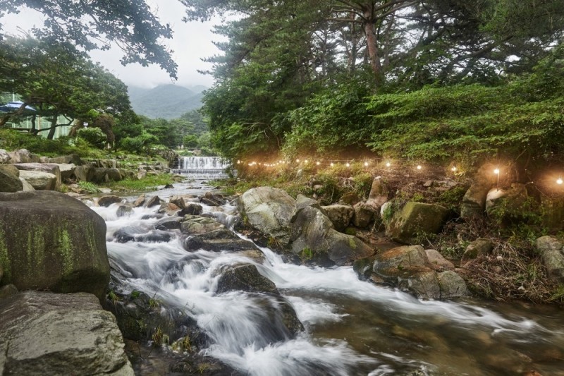 서산 자연의소리펜션 사진