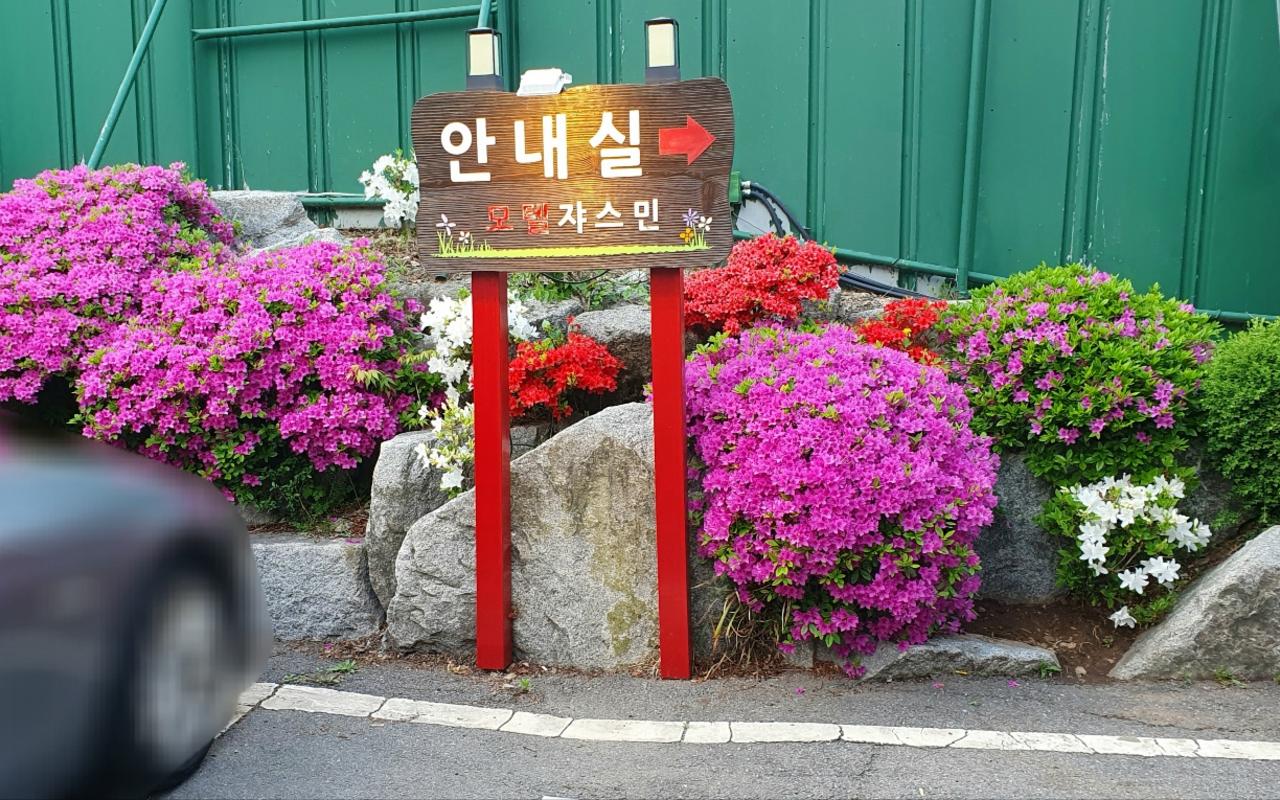 광주 곤지암 쟈스민 사진