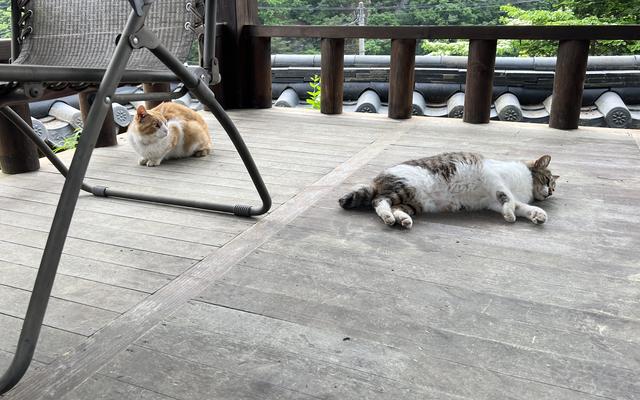 썸네일_2