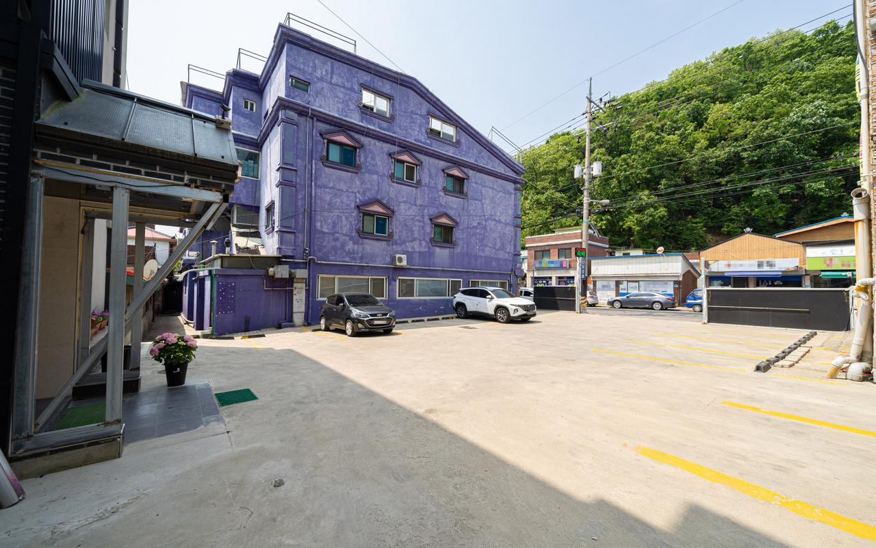 파주 나우 사진