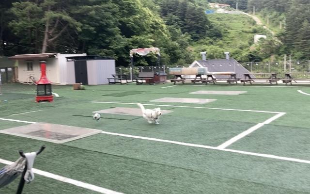 썸네일_2