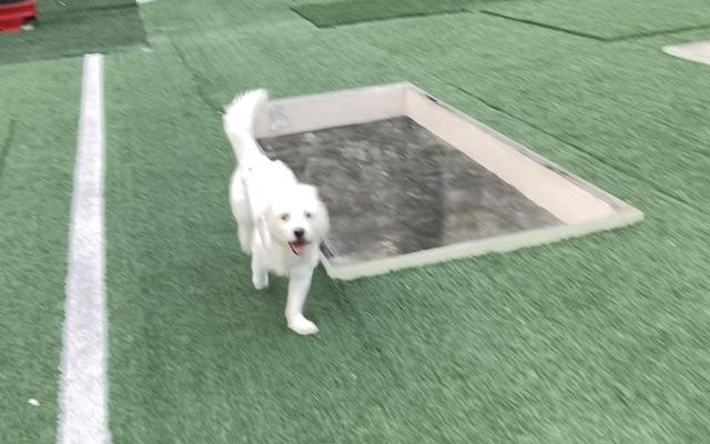 썸네일_4