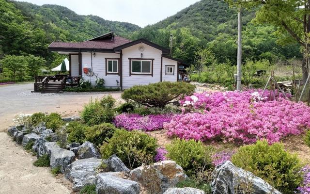 상주 문장대힐링하우스펜션