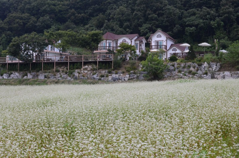 홍천 색채의숲펜션 전망