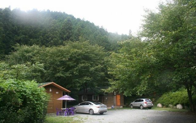 장성 편백통나무펜션