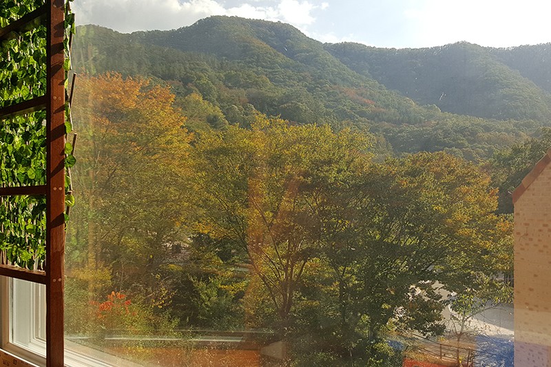 https://yaimg.yanolja.com/v5/2023/07/17/09/64b50b02674391.28673858.jpg