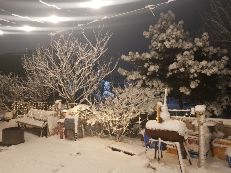 파주 오페라한옥펜션 사진